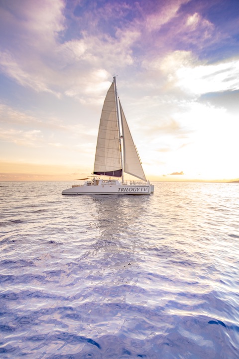 Island Dreams Productions